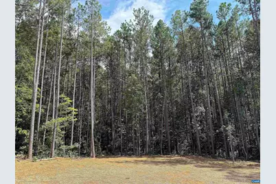 197 Slate River Trl, Arvonia, VA 23004 - Photo 28