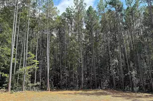 197 Slate River Trail, Arvonia, VA 23004 - Photo 28