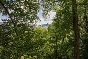 1234 Holmes Ave, Charlottesville, VA 22901 - Photo 68