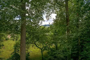 1234 Holmes Ave, Charlottesville, VA 22901 - Photo 70