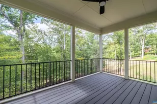 329 Carrsbrook Dr, Charlottesville, VA 22901 - Photo 38