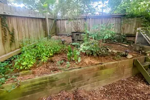 1217 Chatham Ridge, Charlottesville, VA 22901 - Photo 12