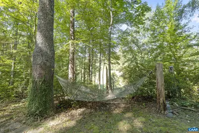 318 Miller School Rd, Charlottesville, VA 22903 - Photo 66
