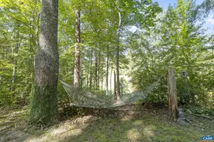 318 Miller School Rd, Charlottesville, VA 22903 - Photo 66