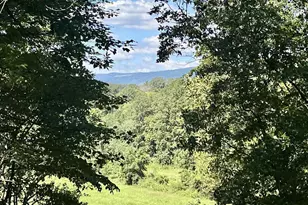 318 Miller School Rd, Charlottesville, VA 22903 - Photo 54