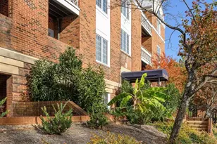 249 E Jefferson St, Charlottesville, VA 22902 - Photo 28