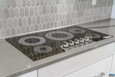 5022 Lindley Pl, Charlottesville, VA 22901 - Photo 14