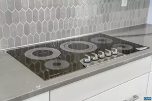 5022 Lindley Pl, Charlottesville, VA 22901 - Photo 14