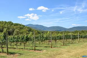 9175 Batesville Rd, Afton, VA 22902 - Photo 10