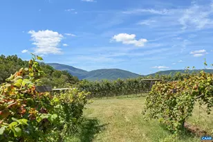 9175 Batesville Rd, Afton, VA 22902 - Photo 54