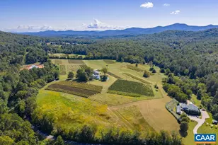 9175 Batesville Rd, Afton, VA 22902 - Photo 74