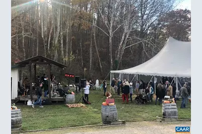 9175 Batesville Rd, Afton, VA 22902 - Photo 70