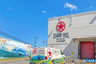 920 Park Ridge Dr, Crozet, VA 22932 - Photo 62