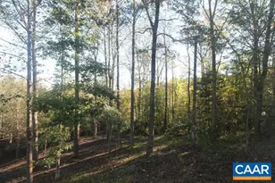 Tbd Batesville Rd, Afton, VA 22920 - Photo 16