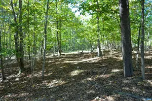 16070 Burnley Rd, Barboursville, VA 22923 - Photo 34