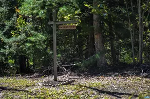 16070 Burnley Rd, Barboursville, VA 22923 - Photo 30