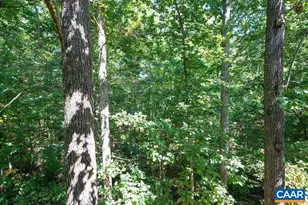 1549 Reynovia Dr, Charlottesville, VA 22902 - Photo 32