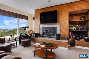 1641 Overlook Condos, Wintergreen, VA 22967 - Photo 10