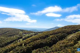 1641 Overlook Condos, Wintergreen, VA 22967 - Photo 6