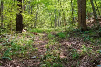 4375 Taylor Creek Rd, Afton, VA 22920 - Photo 70