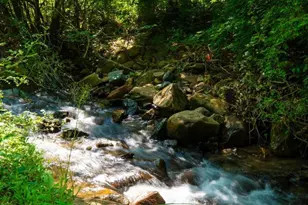 4375 Taylor Creek Rd, Afton, VA 22920 - Photo 12