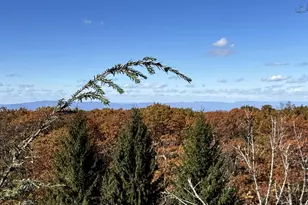 15 Shenandoah Ridge Ct, Wintergreen Resort, VA 22967 - Photo 6