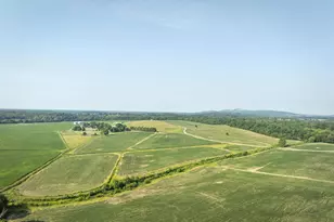 23501 A Greenville Rd, Culpeper, VA 22701 - Photo 60