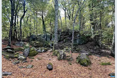 20 Buckhorn Ln, Wintergreen Resort, VA 22967 - Photo 38