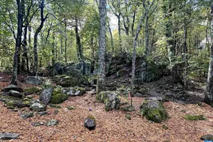 20 Buck Horn Ln, Wintergreen Resort, VA 22967 - Photo 38