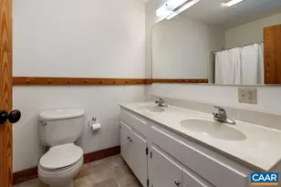 20 Buck Horn Ln, Wintergreen Resort, VA 22967 - Photo 36