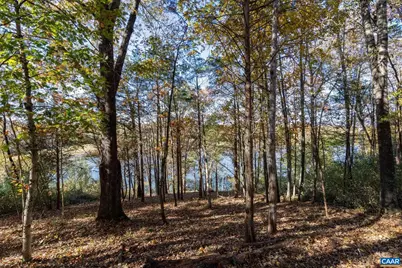 736 Jonquil Rd, Ruckersville, VA 22968 - Photo 32