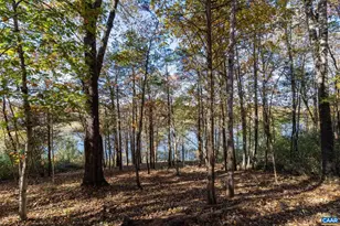 736 Jonquil Rd, Ruckersville, VA 22968 - Photo 32