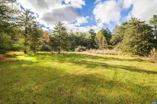 16831 Runions Creek Rd, Broadway, VA 22815 - Photo 8