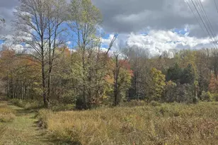 Lot C Sycamore Ln, Ruckersville, VA 22968 - Photo 1