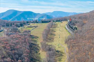907 Diamond Hill Condos, Wintergreen Resort, VA 22967 - Photo 46