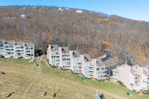 907 Diamond Hill Condos, Wintergreen Resort, VA 22967 - Photo 48