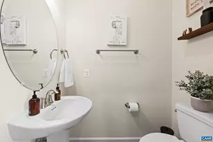 3490 Thicket Run Pl, Charlottesville, VA 22911 - Photo 24