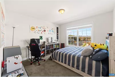 3490 Thicket Run Pl, Charlottesville, VA 22911 - Photo 34