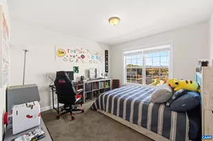 3490 Thicket Run Pl, Charlottesville, VA 22911 - Photo 34