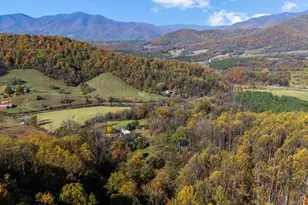 2728 E Branch Loop, Roseland, VA 22967 - Photo 36