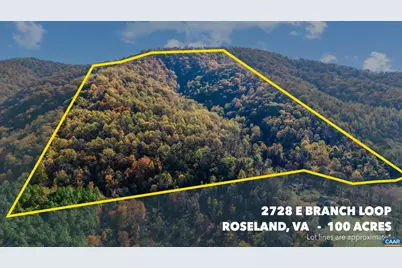 2728 East Branch Loop, Roseland, VA 22967 - Photo 40
