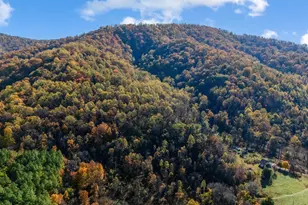 2728 E Branch Loop, Roseland, VA 22967 - Photo 32