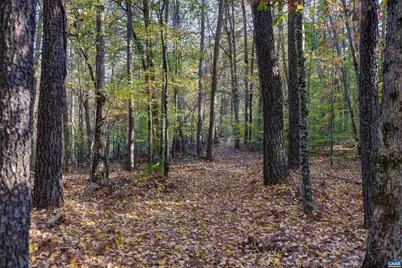 Lot B Link Evans Ln, Earlysville, VA 22936 - Photo 6