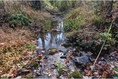 Lot B Link Evans Ln, Earlysville, VA 22936 - Photo 10