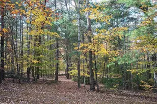 125 Riverbreeze Ct, Howardsville, VA 24562 - Photo 56