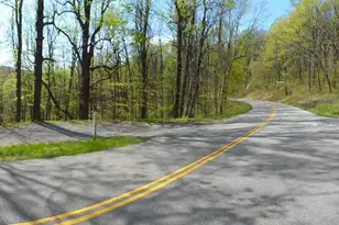 16903 Blue Ridge Pkwy, Lyndhurst, VA 22952 - Photo 8