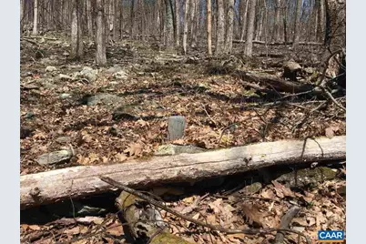 16903 Blue Ridge Pkwy, Lyndhurst, VA 22952 - Photo 16