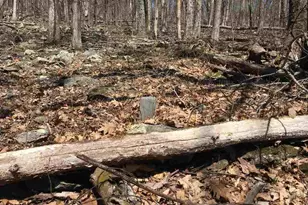 16903 Blue Ridge Pkwy, Lyndhurst, VA 22952 - Photo 16