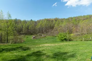 16903 Blue Ridge Pkwy, Lyndhurst, VA 22952 - Photo 10