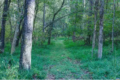 4710 Dickerson Rd, Charlottesville, VA 22911 - Photo 72